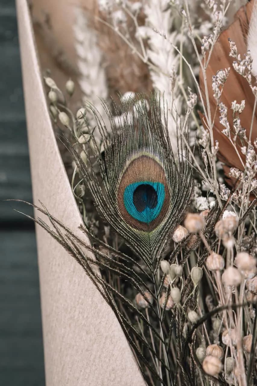 Blog droogbloemen Alkmaar HUISS