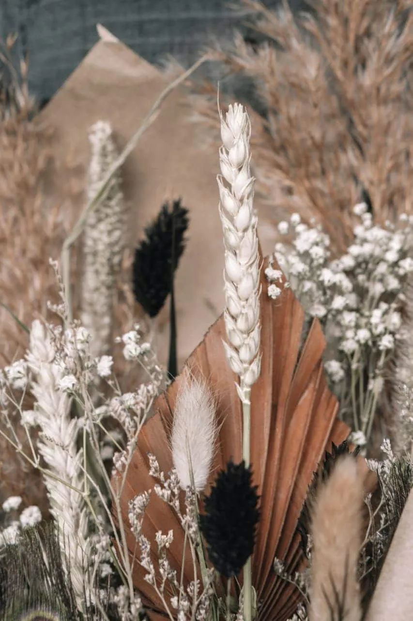 Blog droogbloemen Alkmaar HUISS