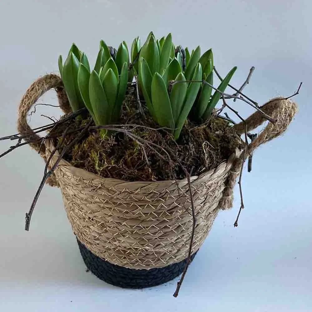 Creatief met de lente HUISS