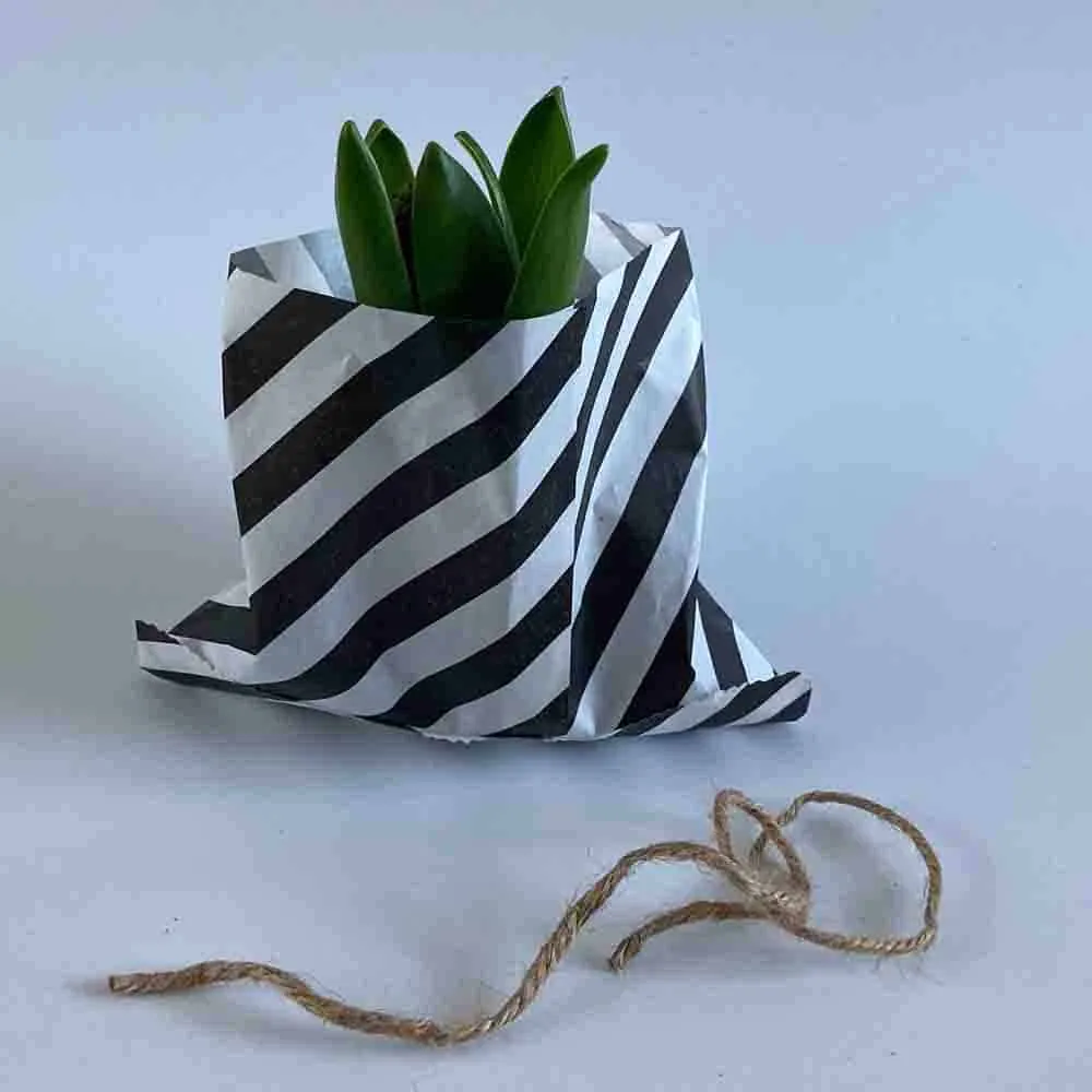 Lente DIY Alkmaar HUISS