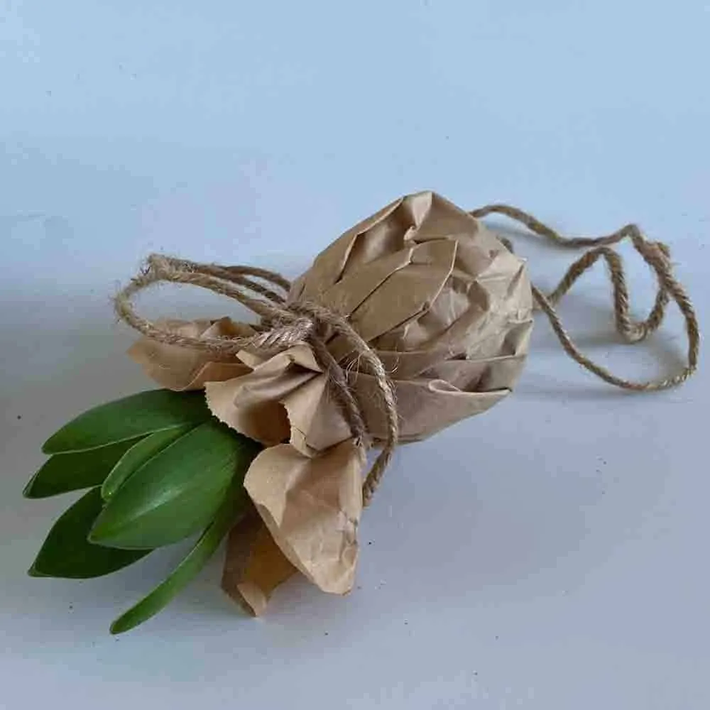 Lente DIY Alkmaar HUISS