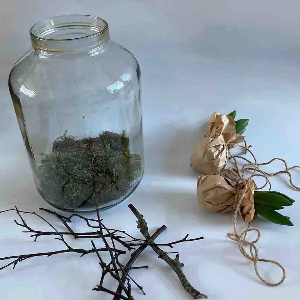Lente DIY Alkmaar HUISS