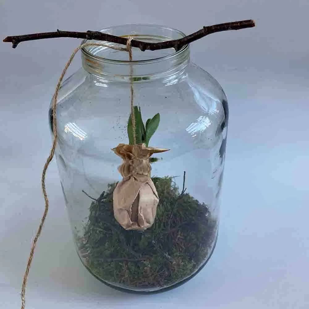 Lente DIY Alkmaar HUISS