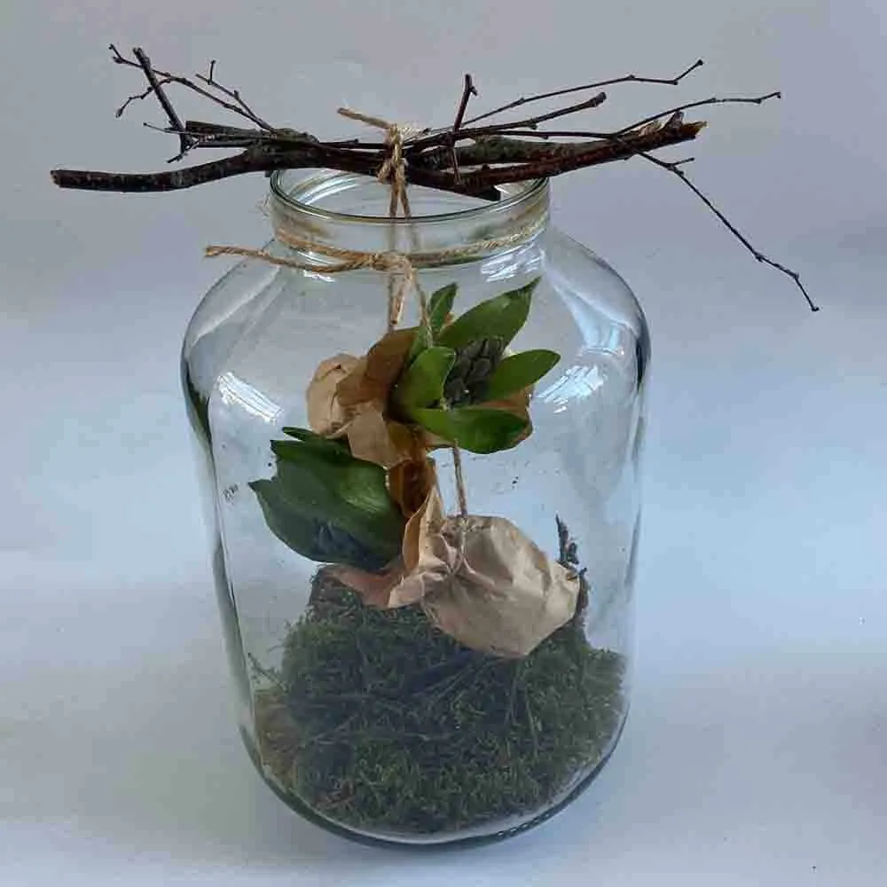 Lente DIY Alkmaar HUISS