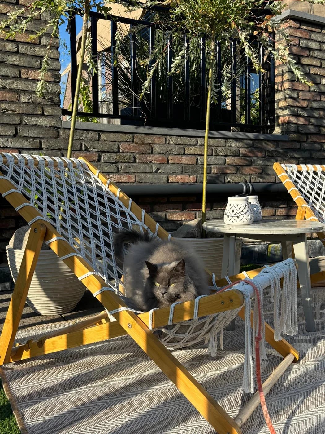 Het dakterras van Nikki met strandstoelen, een buitenkleed en lantaarns in de avondzon