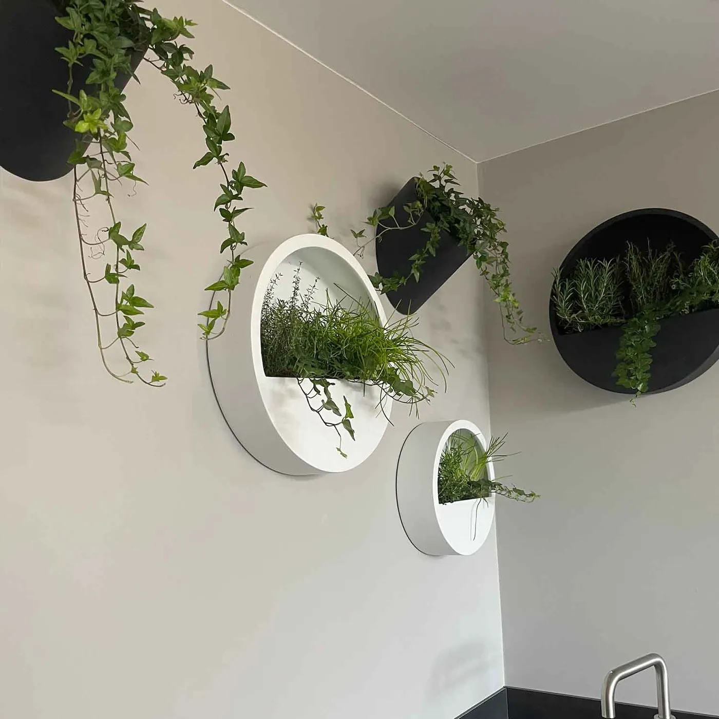 verticale tuin binnen alkmaar