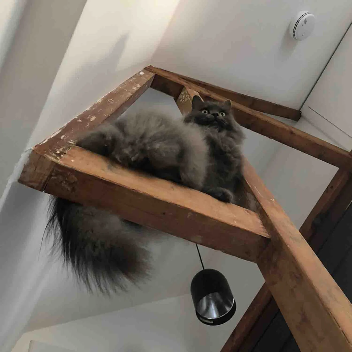 Hometour van Nikki – Stationstraat