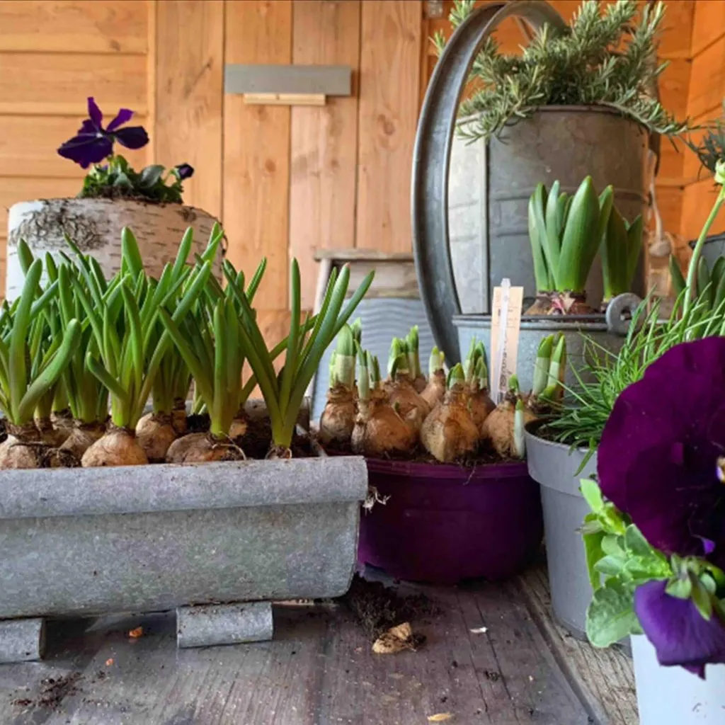 lente tafel tips Alkmaar