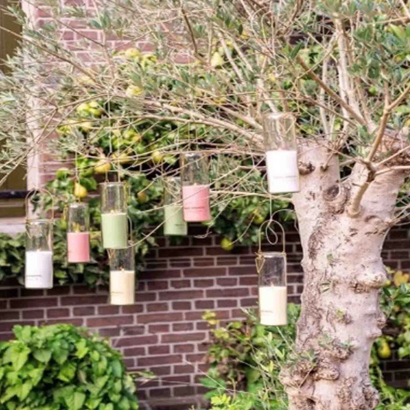 Zomer blog HUISS Alkmaar
