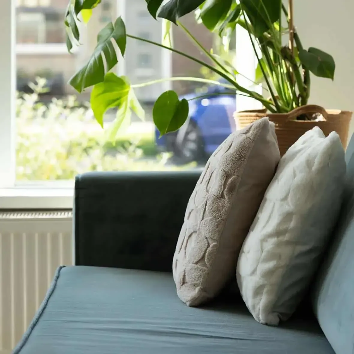 Bank met kussens en planten voor het raam