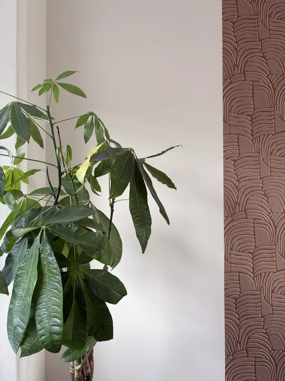 Grote kamerplant voor een zachte wand, met bruin reliëfbehang op de achtergrond