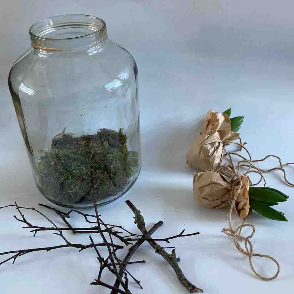 Lente DIY Alkmaar HUISS