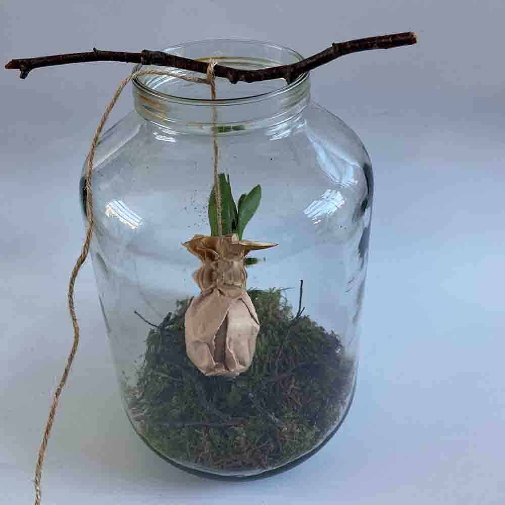 Lente DIY Alkmaar HUISS