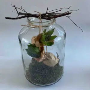Lente DIY Alkmaar HUISS