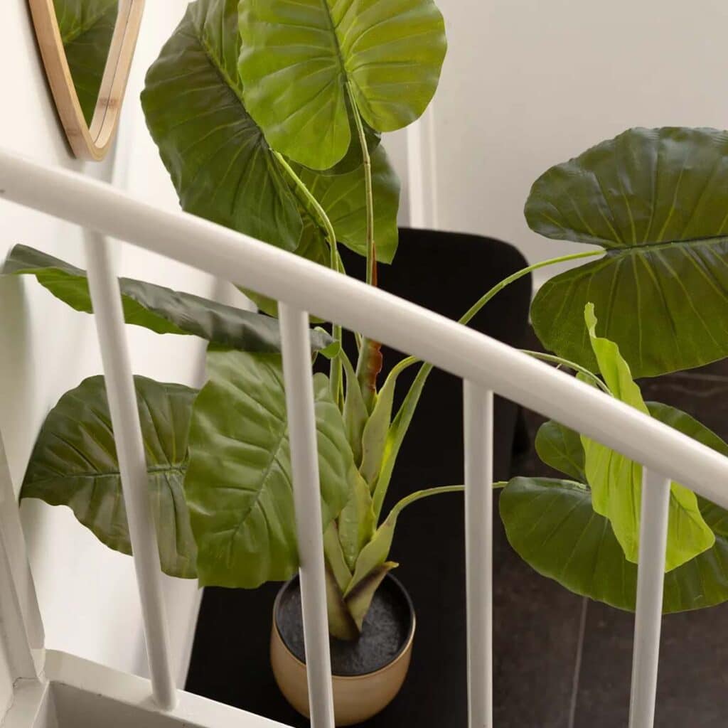 Verkoopstyling Alkmaar HUISS