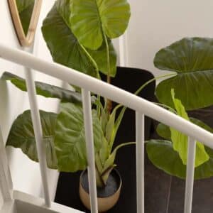 Verkoopstyling Alkmaar HUISS