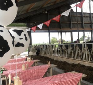 Eventstyling - decoratie Alkmaar Huiss.nu