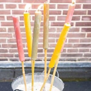 Zomer blog HUISS Alkmaar